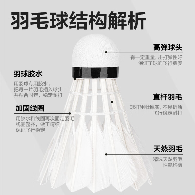 安格耐特得力天然安格耐特F2202S耐打型比赛训练羽毛球娱乐 12只装 1筒