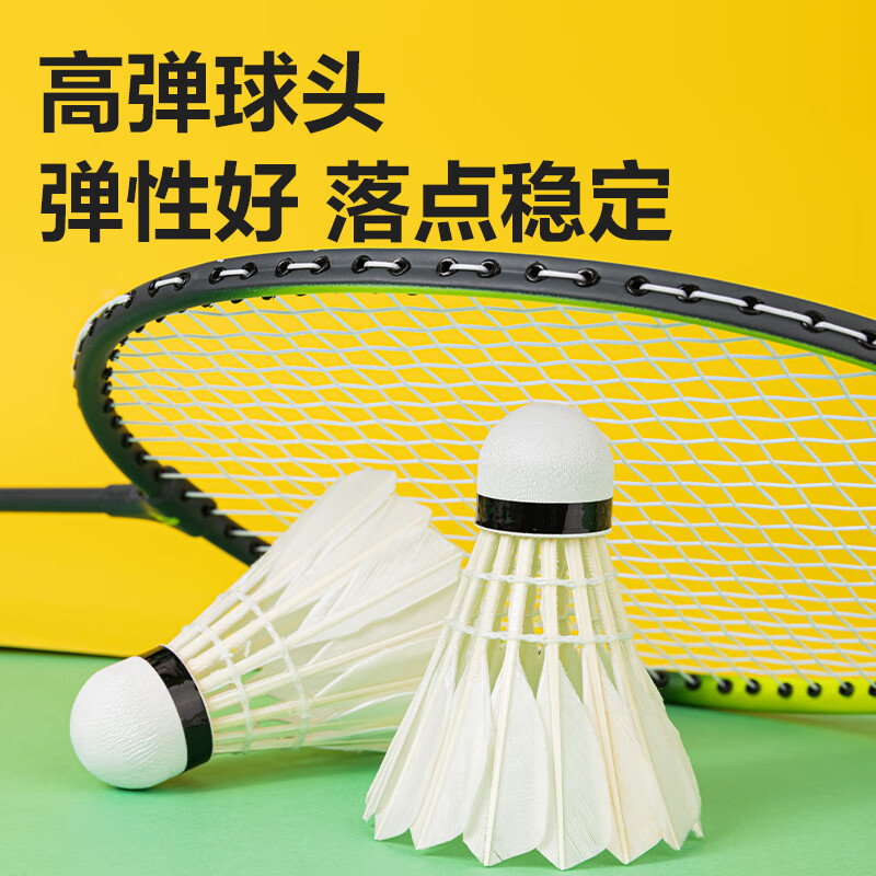安格耐特得力天然安格耐特F2202S耐打型比赛训练羽毛球娱乐 12只装 1筒