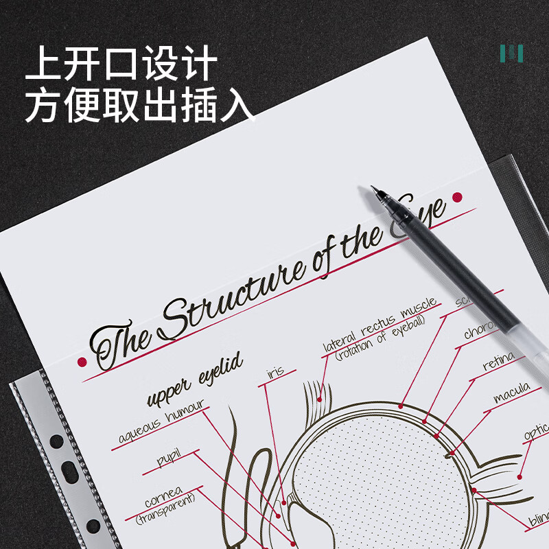 得力  A4两孔夹文件资料夹活页打孔11孔资料袋大容量 5715_11孔资料袋(透明)(100只/包)